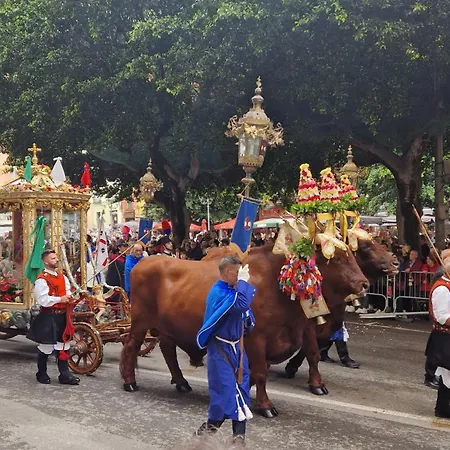 Lilyum * Κάλιαρι